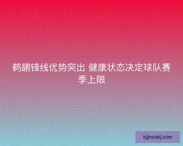 鹈鹕锋线优势突出 健康状态决定球队赛季上限